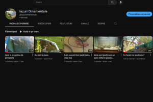 Reclama YouTube IAZURI ORNAMENTALE